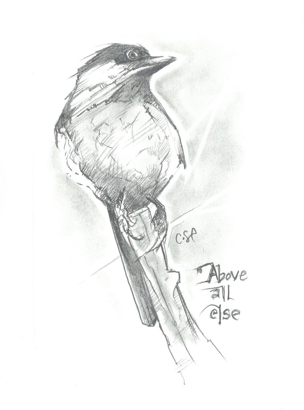 Artist’s statement